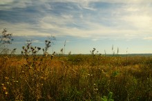 Ветреным и солнечным осенним днём на Тузлове