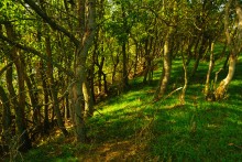 Ветреным и солнечным осенним днём на Тузлове