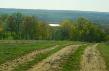 Ветреным и солнечным осенним днём на Тузлове