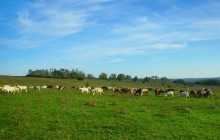 Ветреным и солнечным осенним днём на Тузлове