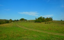 Ветреным и солнечным осенним днём на Тузлове