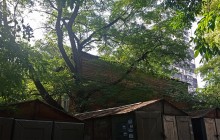 Односкатные крыши в старых кварталах Ростова-на-Дону