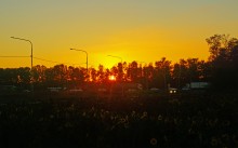 Закат, не успевшие созреть подсолнухи и вечная пробка на М4.