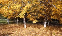 Осень в Ростове-на-Дону