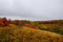 Осень на песчаных холмах по берегу Сухого Донца у хуторов Ольховый и Виноградный