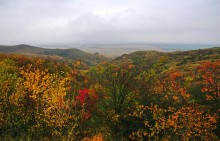 Осень на песчаных холмах по берегу Сухого Донца у хуторов Ольховый и Виноградный