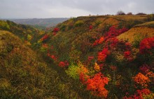 Осень на песчаных холмах по берегу Сухого Донца у хуторов Ольховый и Виноградный