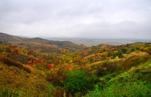 Осень на песчаных холмах по берегу Сухого Донца у хуторов Ольховый и Виноградный
