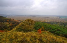 Осень на песчаных холмах по берегу Сухого Донца у хуторов Ольховый и Виноградный