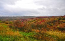 Осень на песчаных холмах по берегу Сухого Донца у хуторов Ольховый и Виноградный