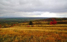 Осень на песчаных холмах по берегу Сухого Донца у хуторов Ольховый и Виноградный