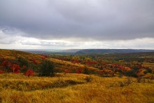 Осень на песчаных холмах по берегу Сухого Донца у хуторов Ольховый и Виноградный
