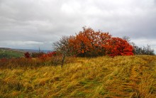 Осень на песчаных холмах по берегу Сухого Донца у хуторов Ольховый и Виноградный