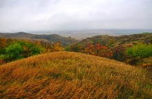 Осень на песчаных холмах по берегу Сухого Донца у хуторов Ольховый и Виноградный