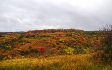 Осень на песчаных холмах по берегу Сухого Донца у хуторов Ольховый и Виноградный