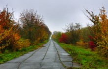 Осень на песчаных холмах по берегу Сухого Донца у хуторов Ольховый и Виноградный
