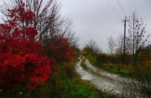 Осень на песчаных холмах по берегу Сухого Донца у хуторов Ольховый и Виноградный