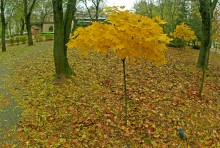 Осень в городе Ростове-на-Дону