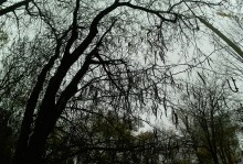 Осень в городе Ростове-на-Дону