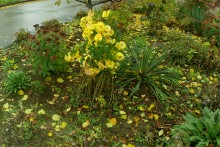 Осень в городе Ростове-на-Дону