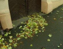 Осень в городе Ростове-на-Дону