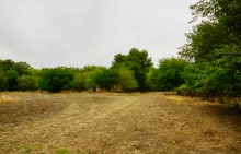 Остатки поместья с прудом и фонтаном