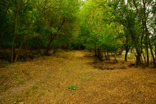 Остатки поместья с прудом и фонтаном