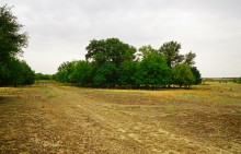 Остатки поместья с прудом и фонтаном