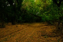 Остатки поместья с прудом и фонтаном