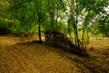 Остатки поместья с прудом и фонтаном