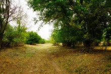 Остатки поместья с прудом и фонтаном