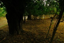 Остатки поместья с прудом и фонтаном