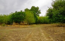 Остатки поместья с прудом и фонтаном