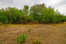 Остатки поместья с прудом и фонтаном