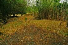 Остатки поместья с прудом и фонтаном