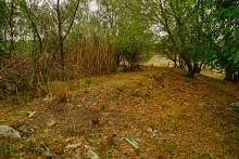 Остатки поместья с прудом и фонтаном