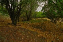 Остатки поместья с прудом и фонтаном