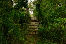 Путешествие по реке Берёзовой у хуторов основанных помещиками Грековыми