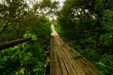 Путешествие по реке Берёзовой у хуторов основанных помещиками Грековыми