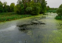 Путешествие по реке Берёзовой у хуторов основанных помещиками Грековыми