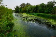 Путешествие по реке Берёзовой у хуторов основанных помещиками Грековыми