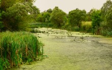 Путешествие по реке Берёзовой у хуторов основанных помещиками Грековыми