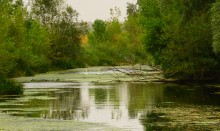 Путешествие по реке Берёзовой у хуторов основанных помещиками Грековыми