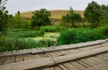 Путешествие по реке Берёзовой у хуторов основанных помещиками Грековыми