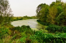 Путешествие по реке Берёзовой у хуторов основанных помещиками Грековыми