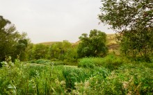 Путешествие по реке Берёзовой у хуторов основанных помещиками Грековыми