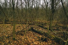 Водопад и гроты на Миусе