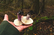 Водопад и гроты на Миусе