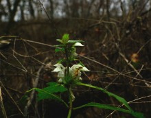 Водопад и гроты на Миусе