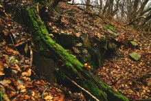 Водопад и гроты на Миусе